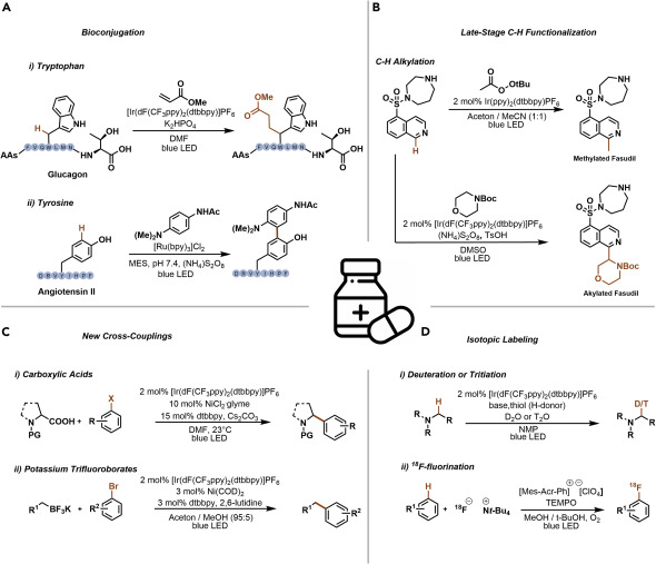 图 2.药物化学中感兴趣的光催化反应的代表性例子(A-D)生物共轭(A)、后期 CH功能化(B)、C sp3 -C sp2交叉偶联反应 (C)、同位素标记 (D)。