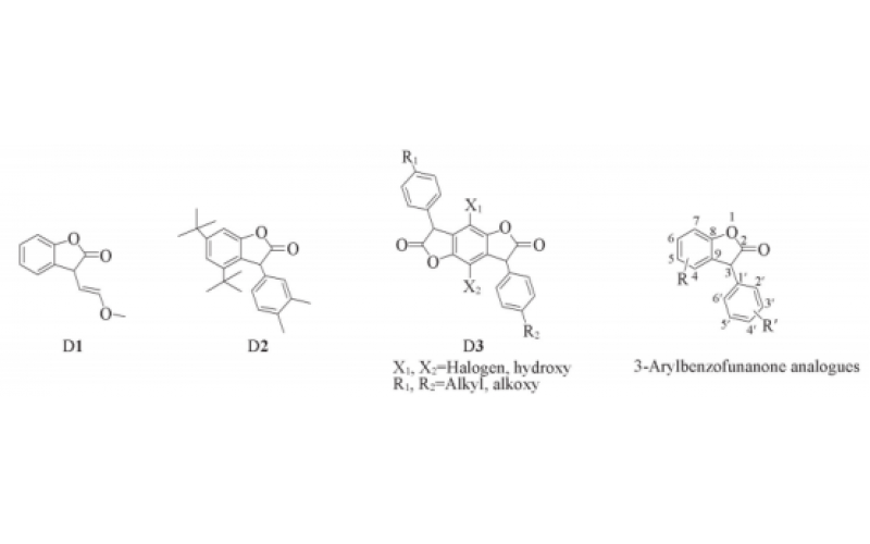 3-芳基苯并呋喃酮的连续连续合成