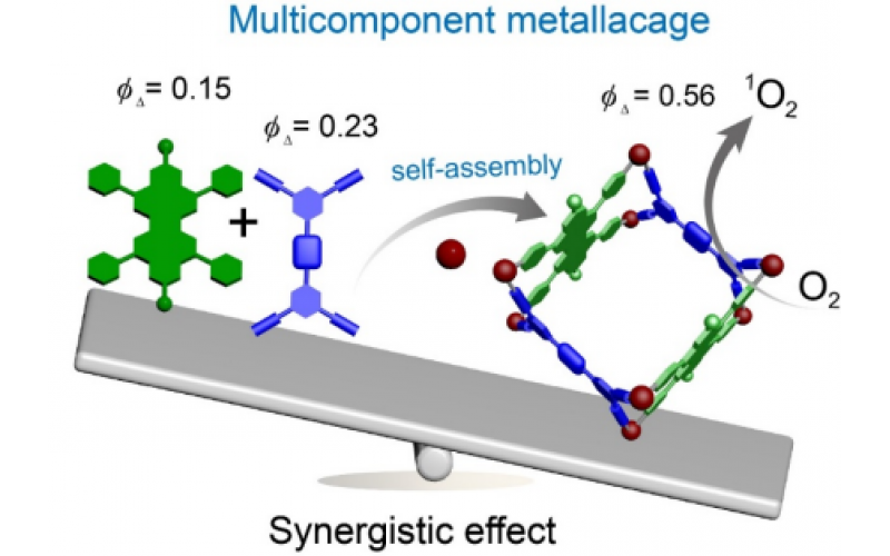 西安交大科研人员构建多组分金属笼用于可见光催化反应