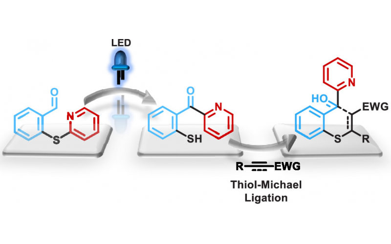 光催化自催化硫醇-烯烃炔烃加成反应