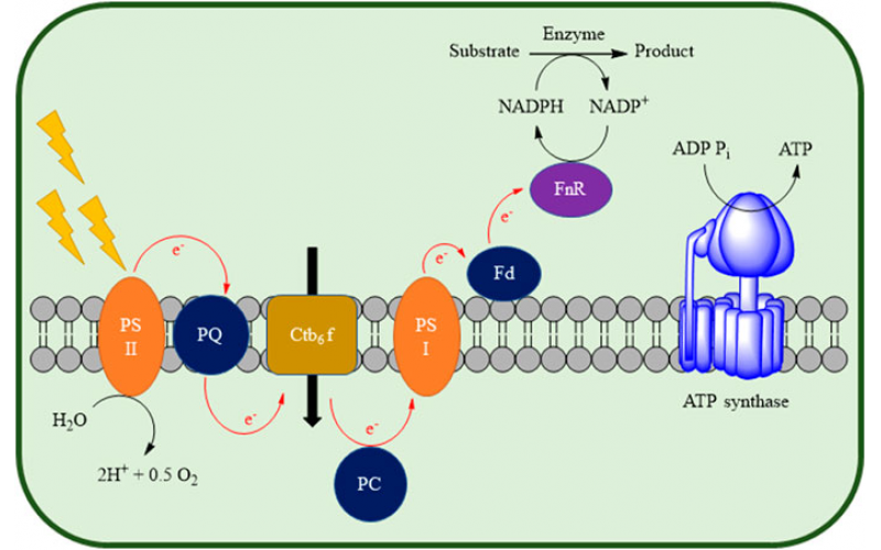 连续流微通道反应器维护及保养注意事项