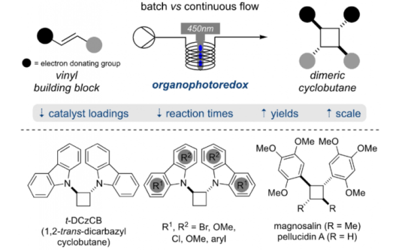 使用有机光氧化还原催化的 [2+2]-环加成在连续流动条件下形成二聚环丁烷
