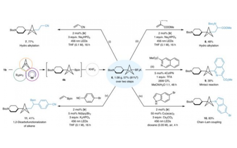 用于化学合成的微流控芯片实验室技术